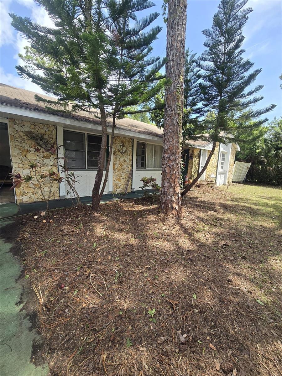 1132 AUSTRALIA AVE, DAYTONA BEACH, FL, 32114