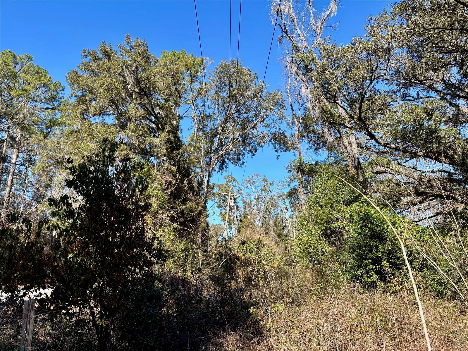 285 SE SPRITE LOOP, HIGH SPRINGS, FL, 32643