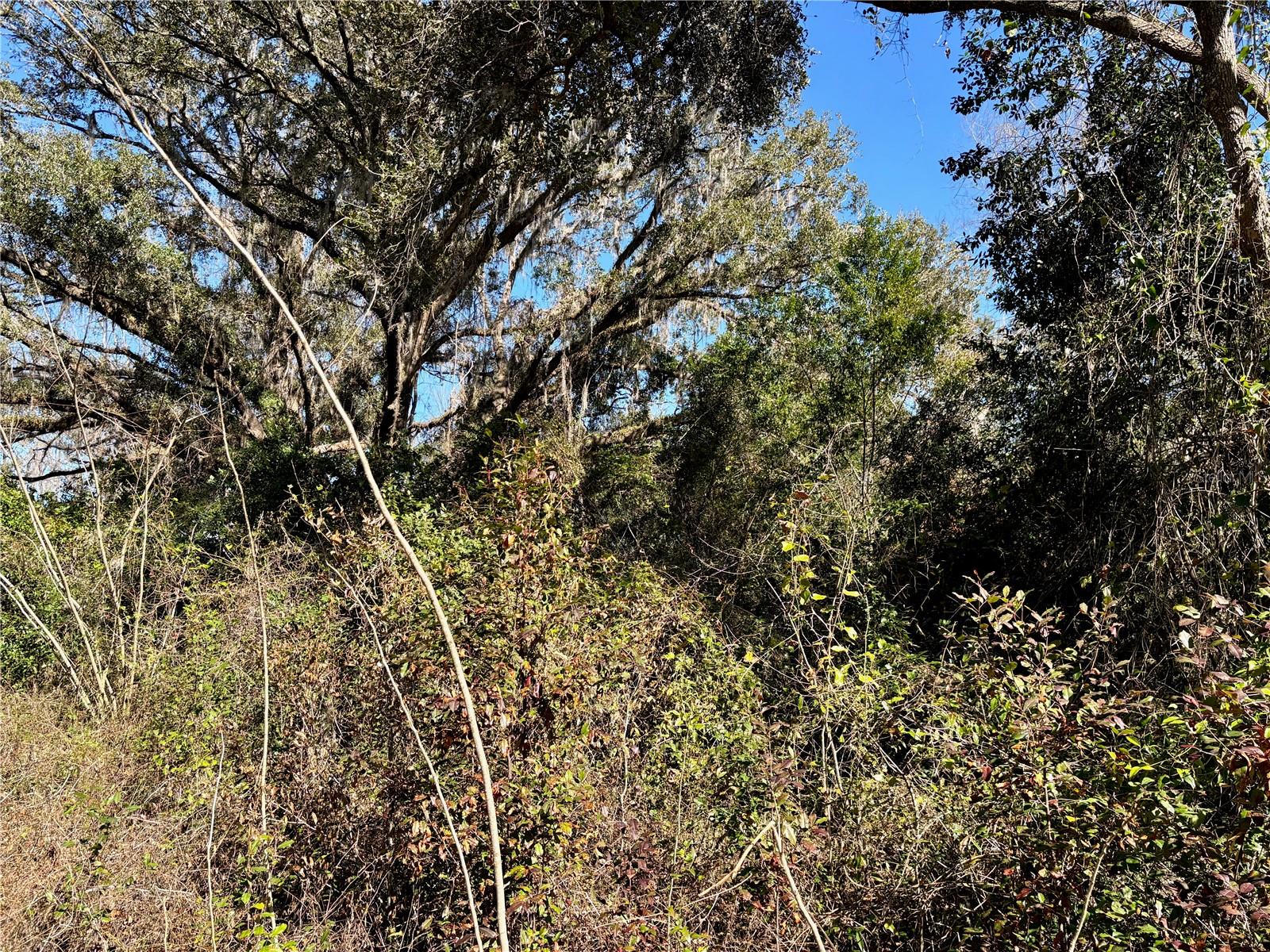 285 SE SPRITE LOOP, HIGH SPRINGS, FL, 32643