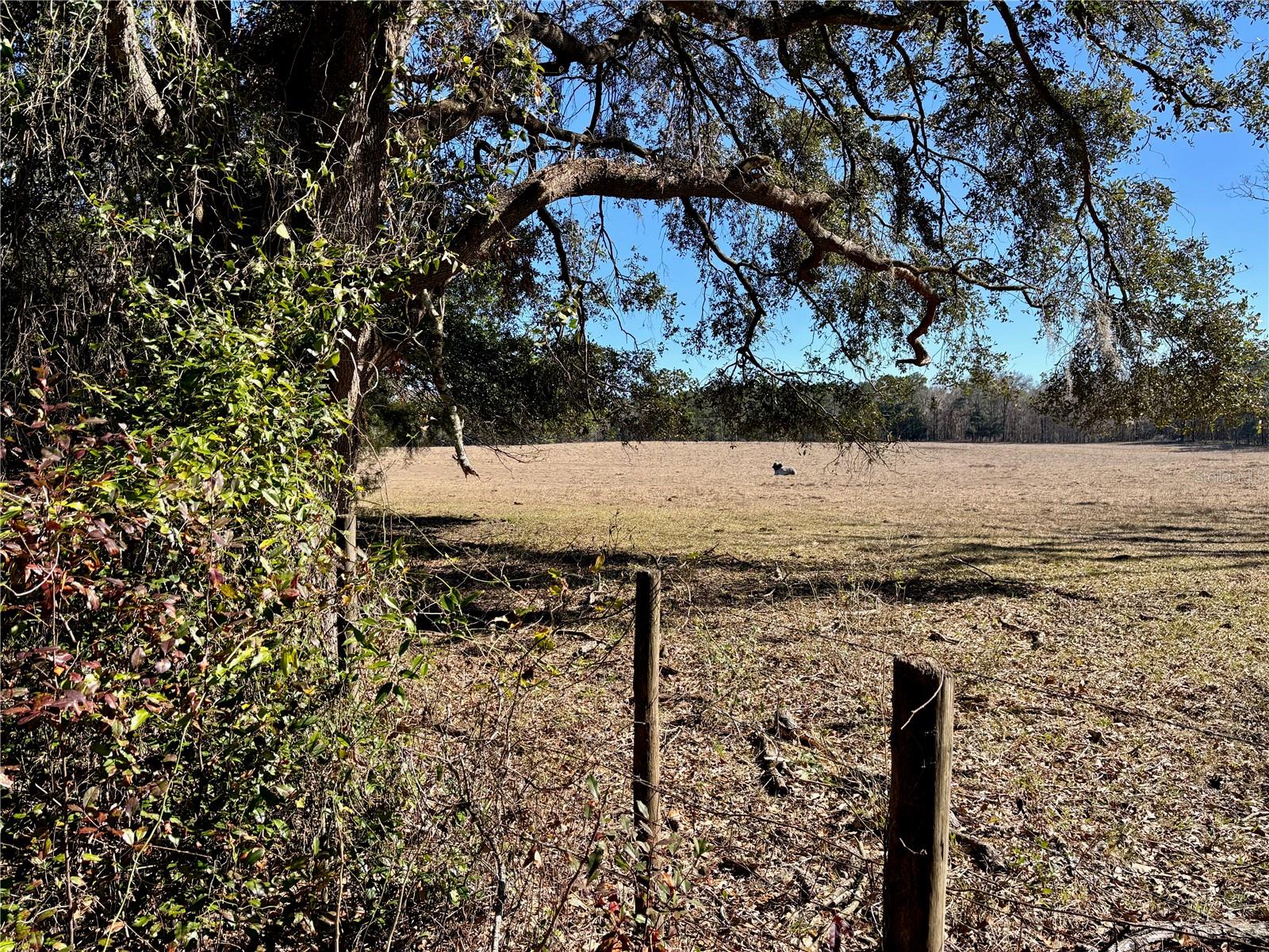 285 SE SPRITE LOOP, HIGH SPRINGS, FL, 32643