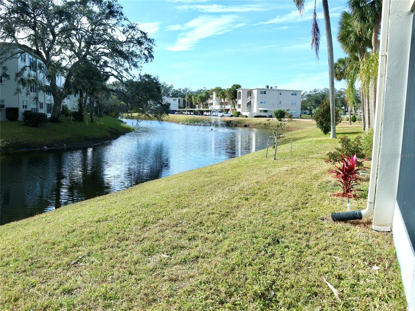 946 VIRGINIA ST #102, DUNEDIN, FL, 34698