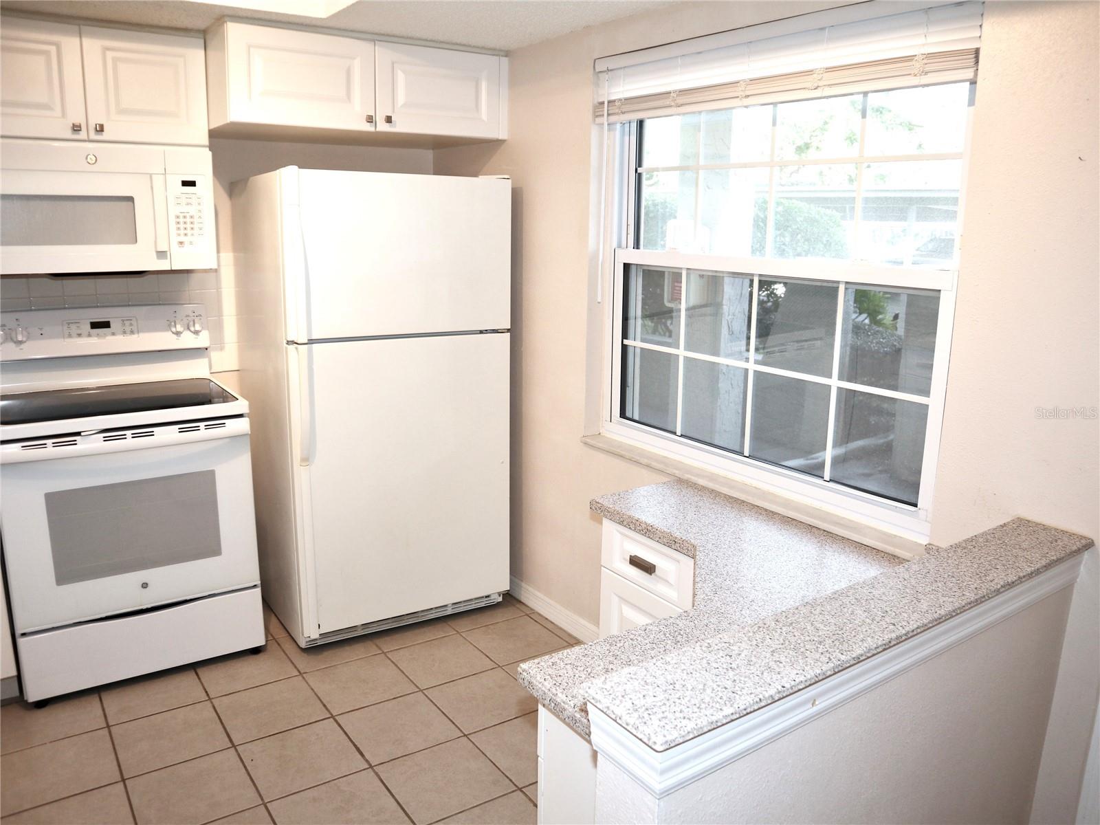 946 VIRGINIA ST #102, DUNEDIN, FL, 34698