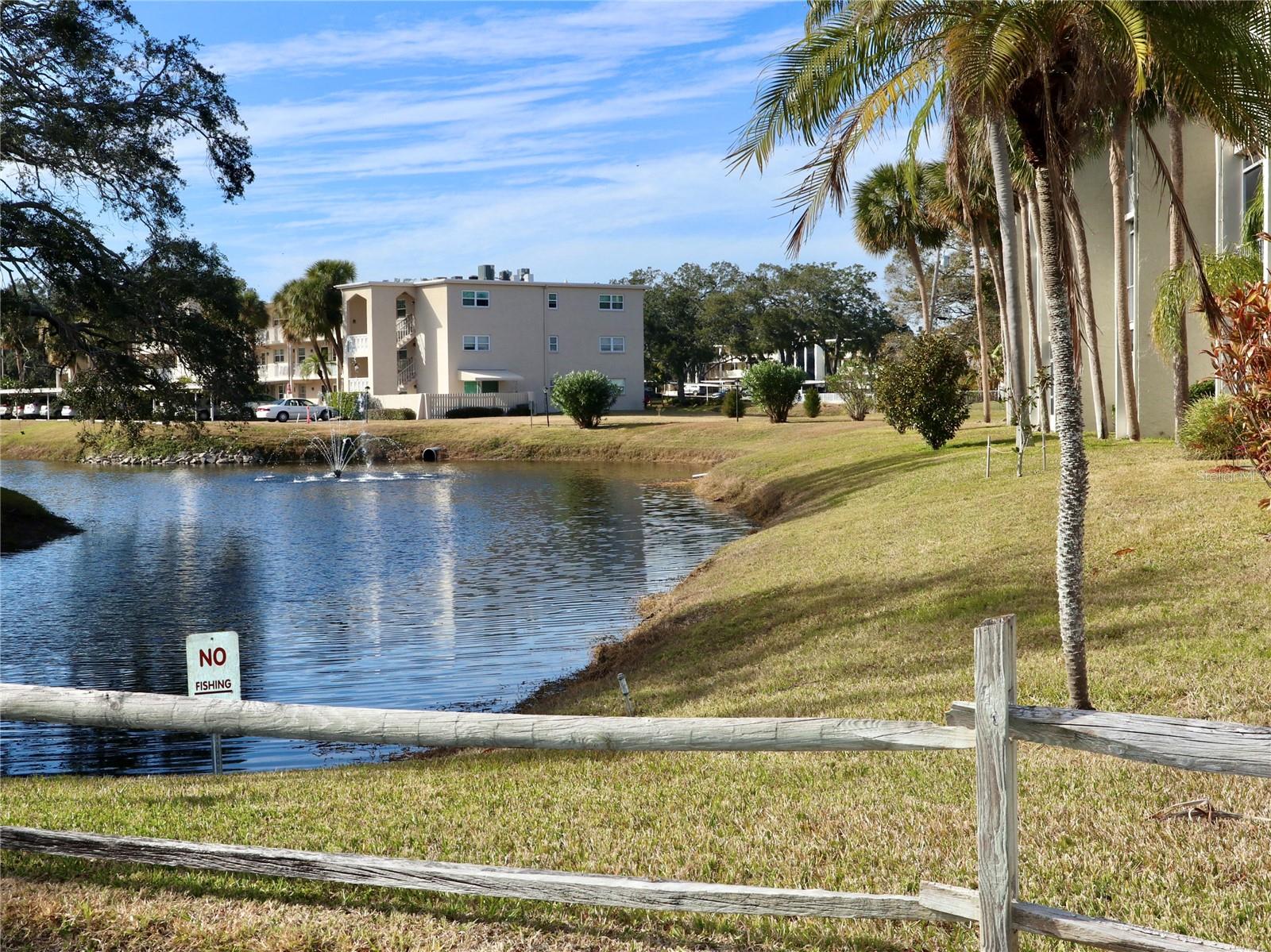 946 VIRGINIA ST #102, DUNEDIN, FL, 34698