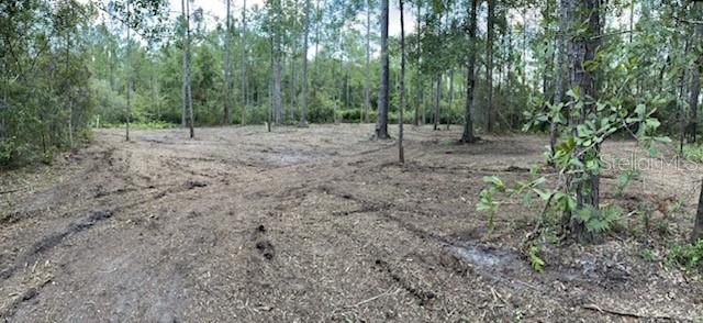 618 SW NAPLES TER, GREENVILLE, FL, 32331