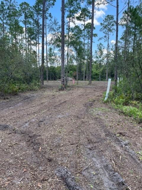 618 SW NAPLES TER, GREENVILLE, FL, 32331
