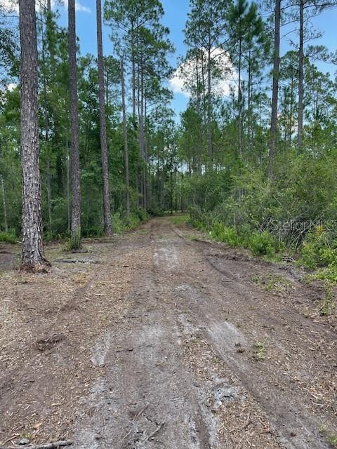 618 SW NAPLES TER, GREENVILLE, FL, 32331