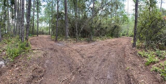 618 SW NAPLES TER, GREENVILLE, FL, 32331