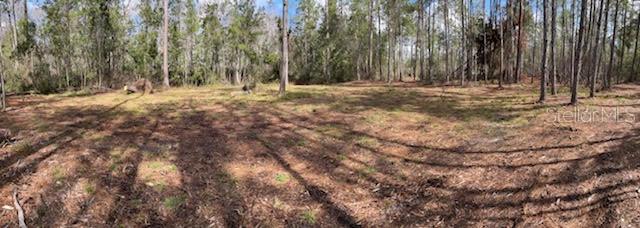 618 SW NAPLES TER, GREENVILLE, FL, 32331