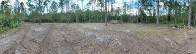 618 SW NAPLES TER, GREENVILLE, FL, 32331