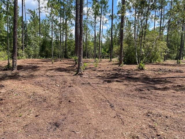 618 SW NAPLES TER, GREENVILLE, FL, 32331
