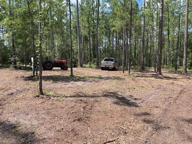 618 SW NAPLES TER, GREENVILLE, FL, 32331