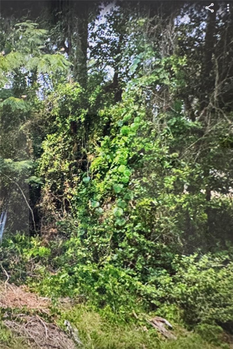 6161 E PENROSE ST, INVERNESS, FL, 34452