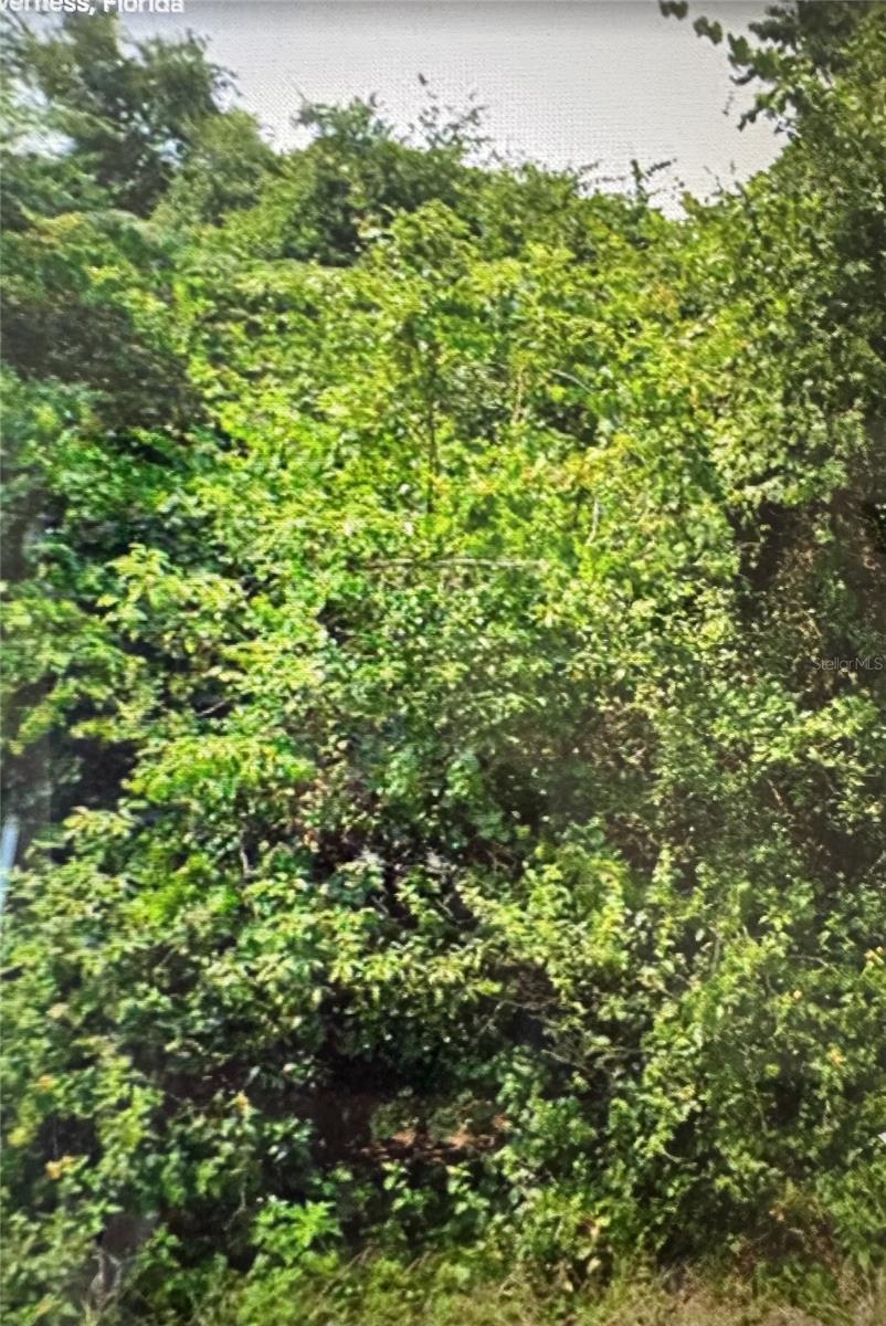 6161 E PENROSE ST, INVERNESS, FL, 34452