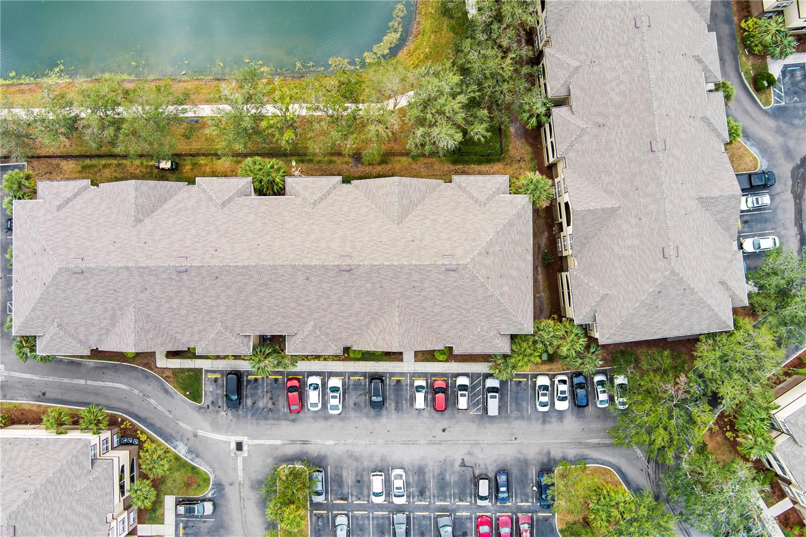 16431 ENCLAVE VILLAGE DR #208, TAMPA, FL, 33647