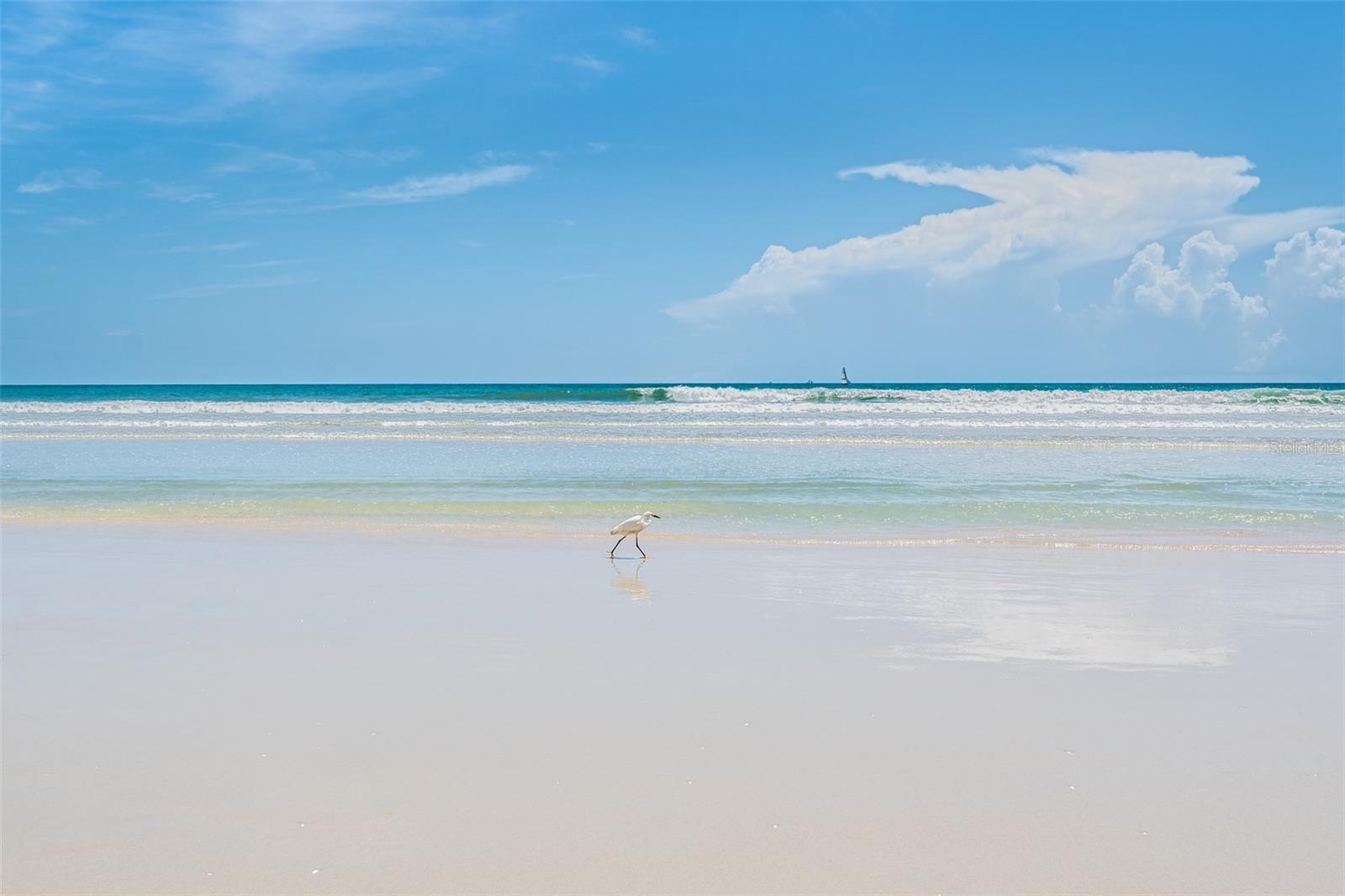 135 DUNDEE RD, DAYTONA BEACH, FL, 32118