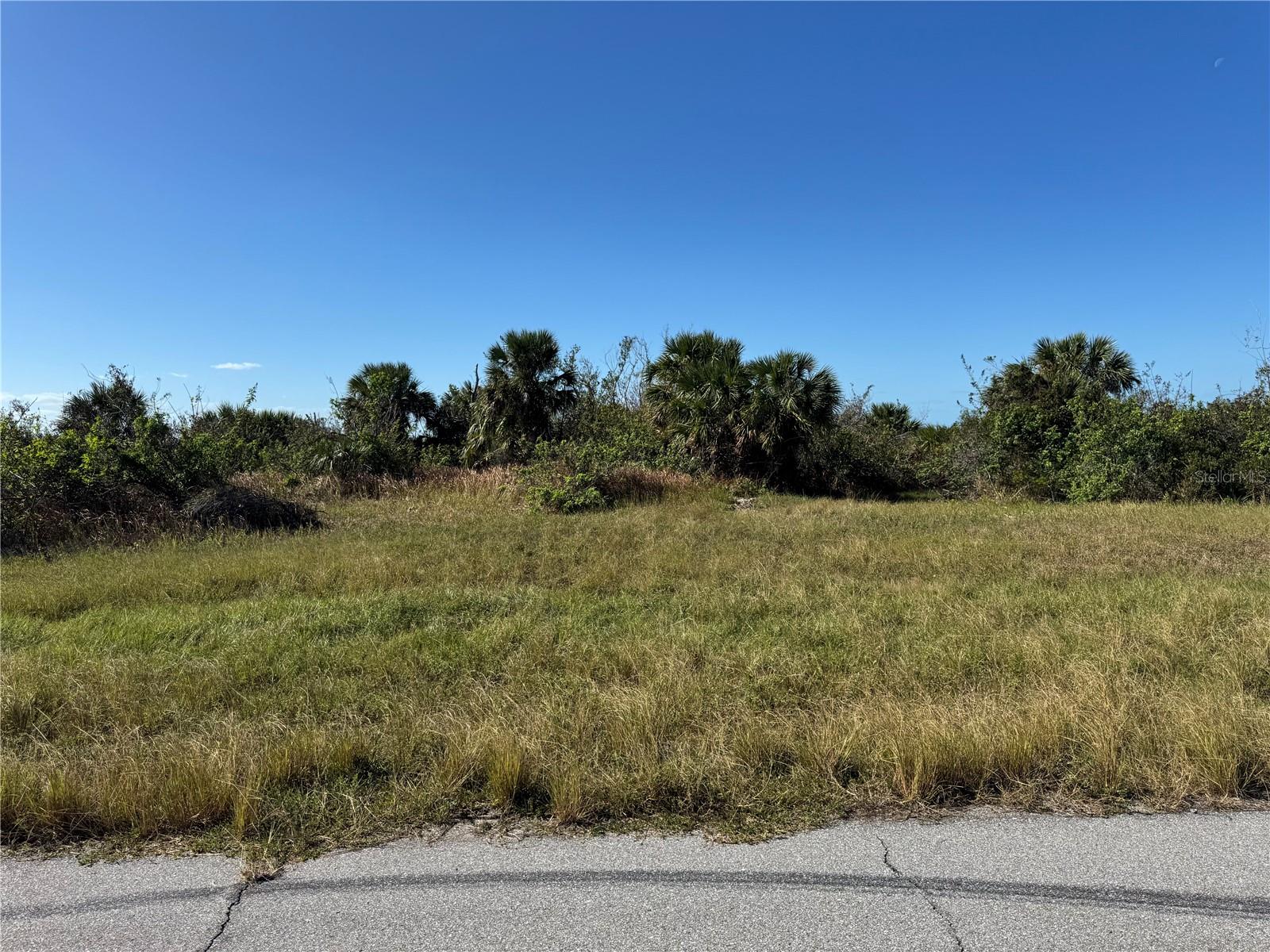 12539 QUAIL RD, PLACIDA, FL, 33946