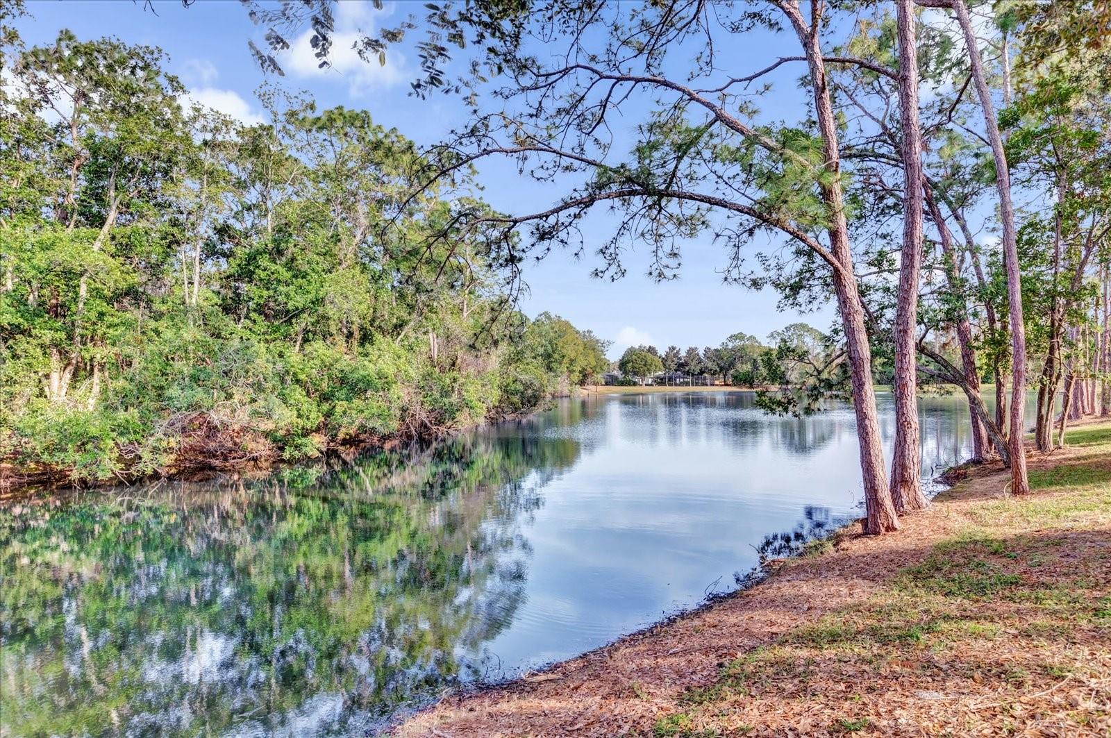 3729 PICKWICK DR, ORLANDO, FL, 32817
