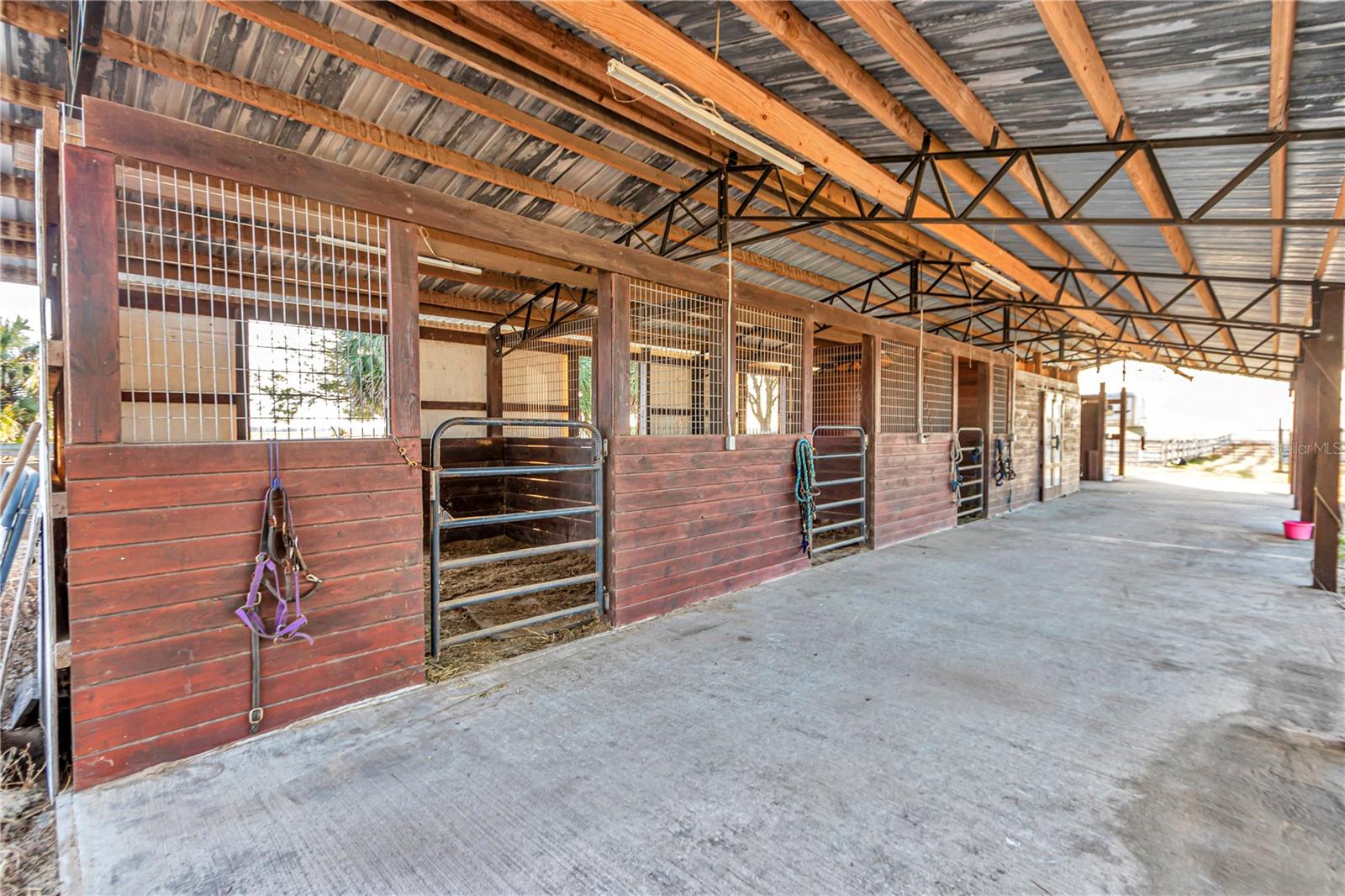 15554 SE 30TH ST, MORRISTON, FL, 32668