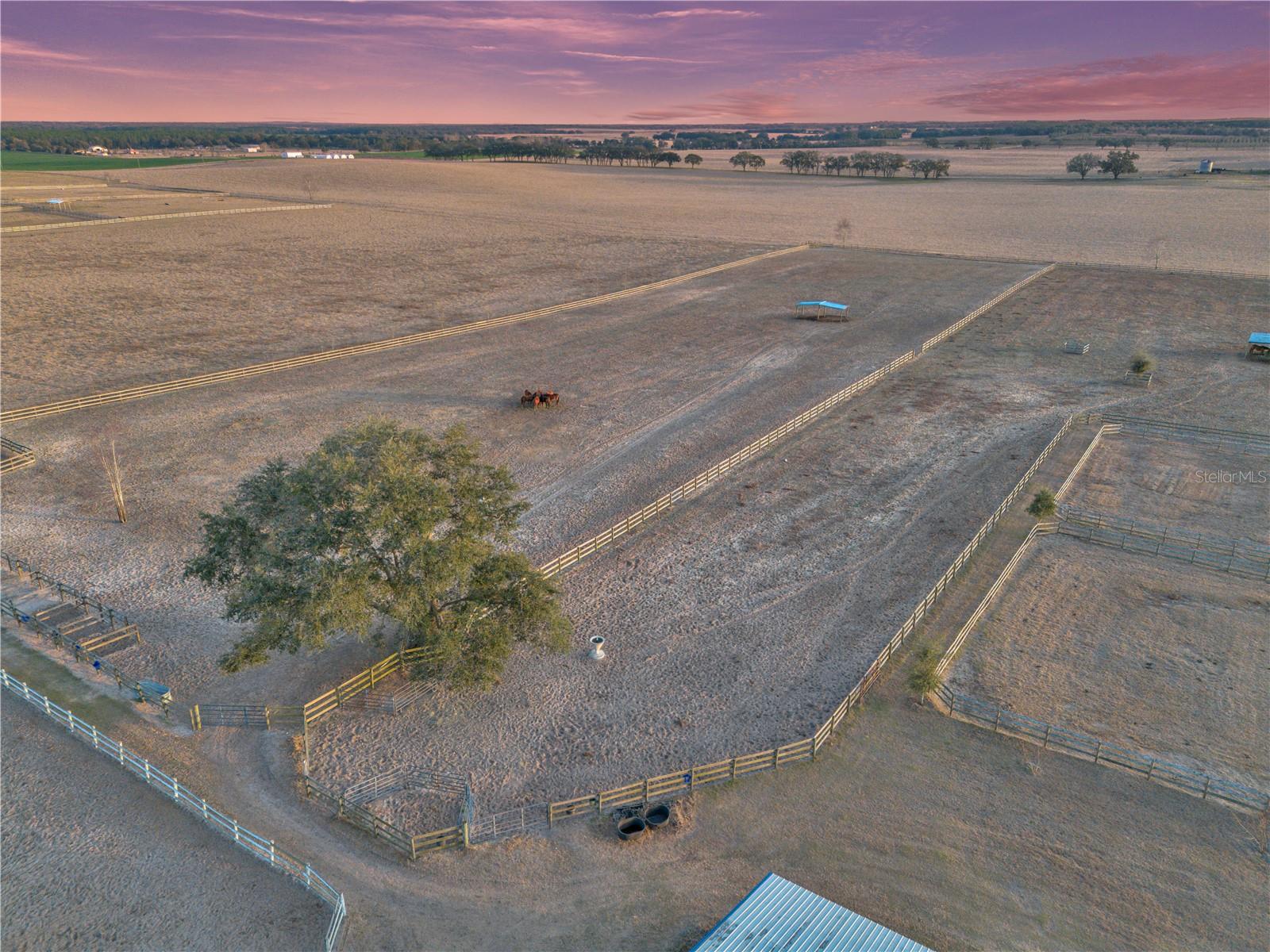 15554 SE 30TH ST, MORRISTON, FL, 32668