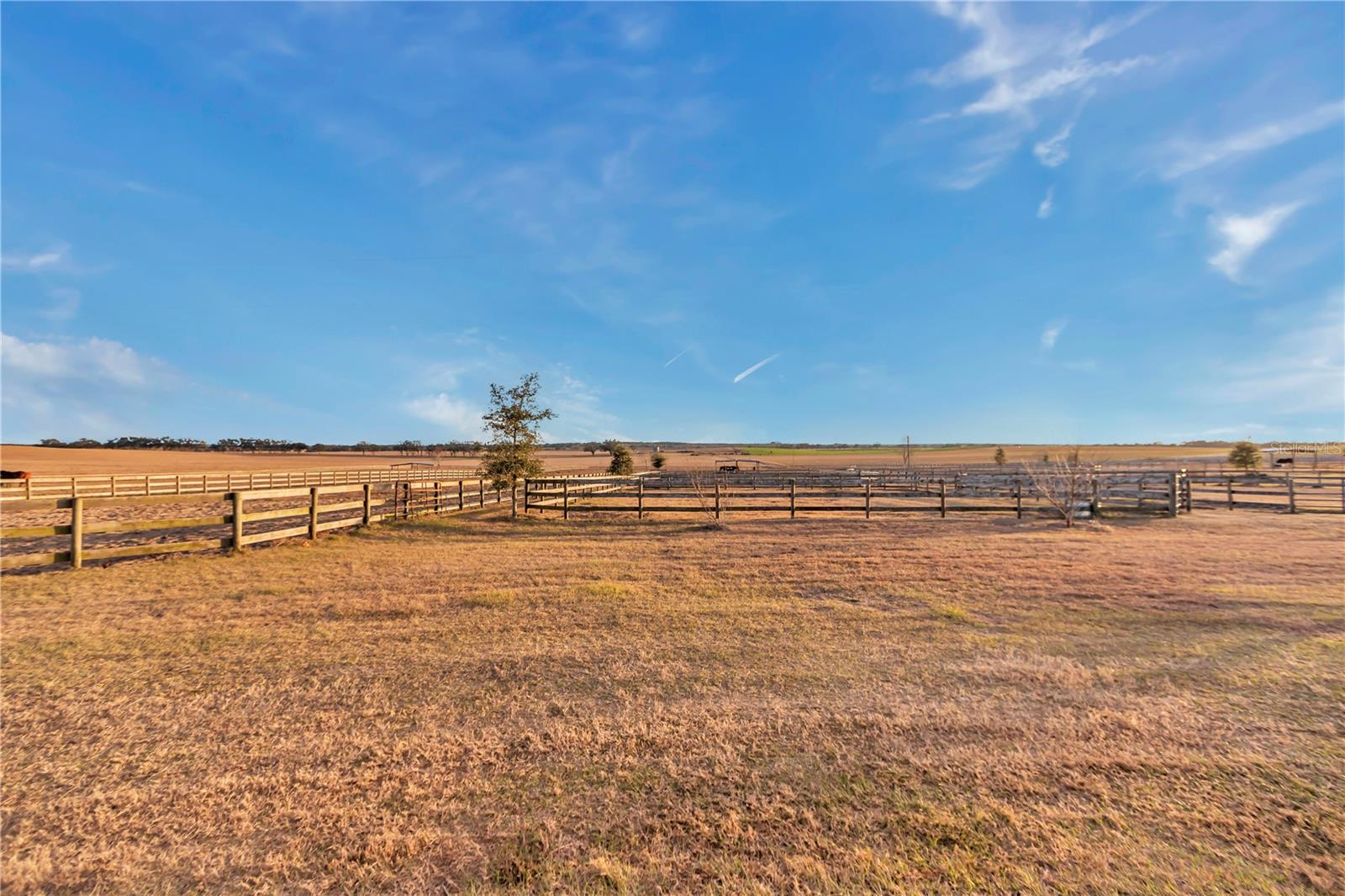 15554 SE 30TH ST, MORRISTON, FL, 32668