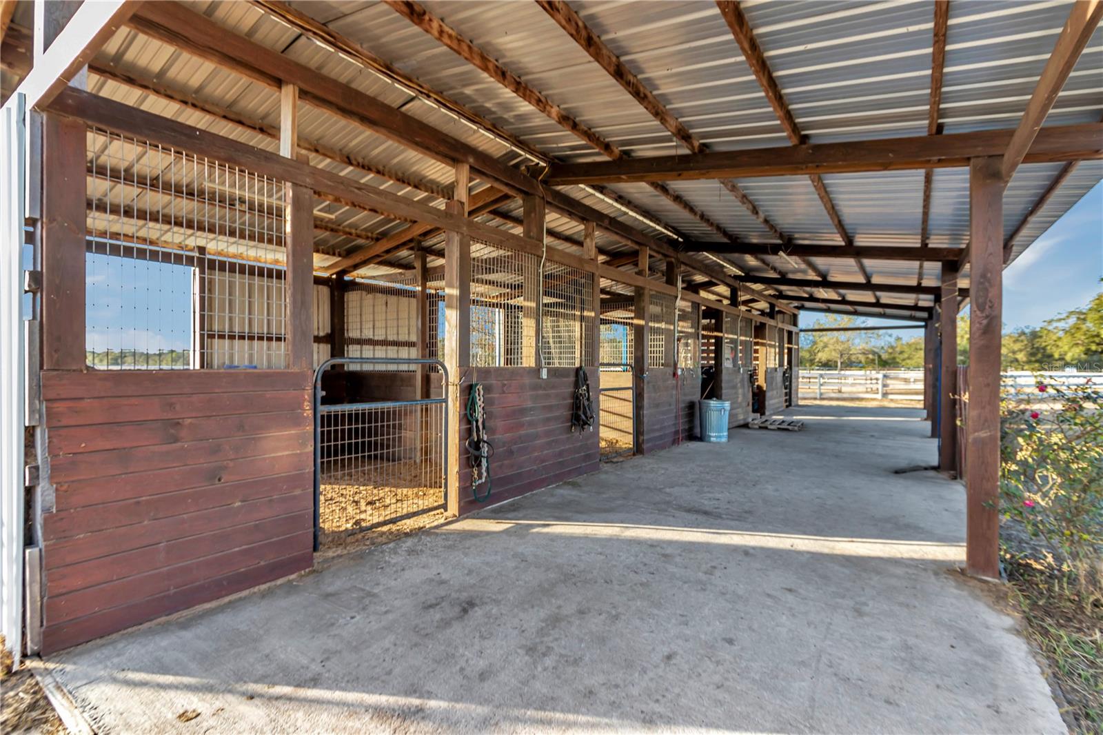 15554 SE 30TH ST, MORRISTON, FL, 32668