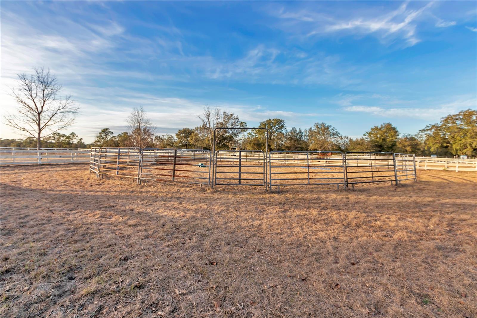 15554 SE 30TH ST, MORRISTON, FL, 32668