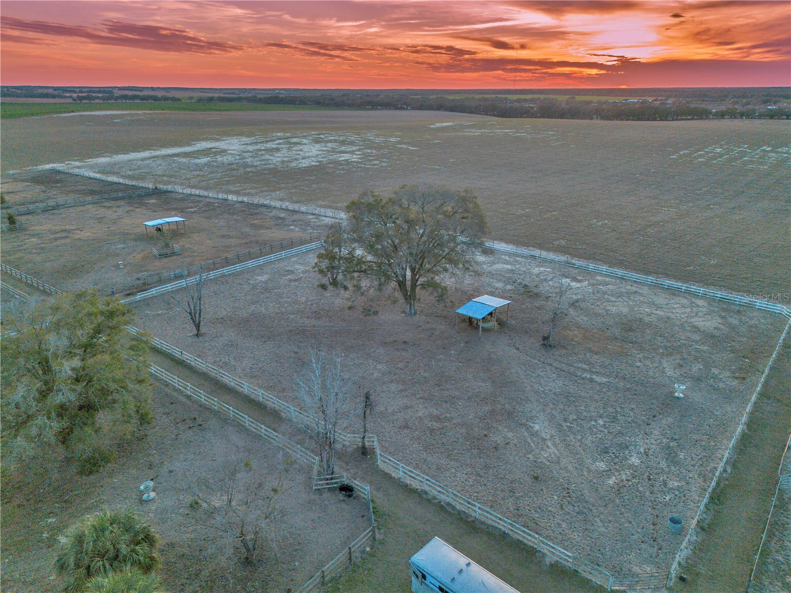 15554 SE 30TH ST, MORRISTON, FL, 32668