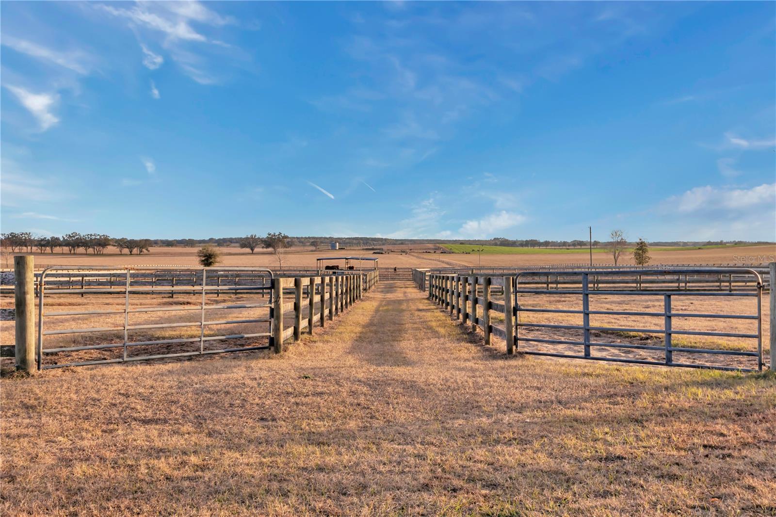 15554 SE 30TH ST, MORRISTON, FL, 32668