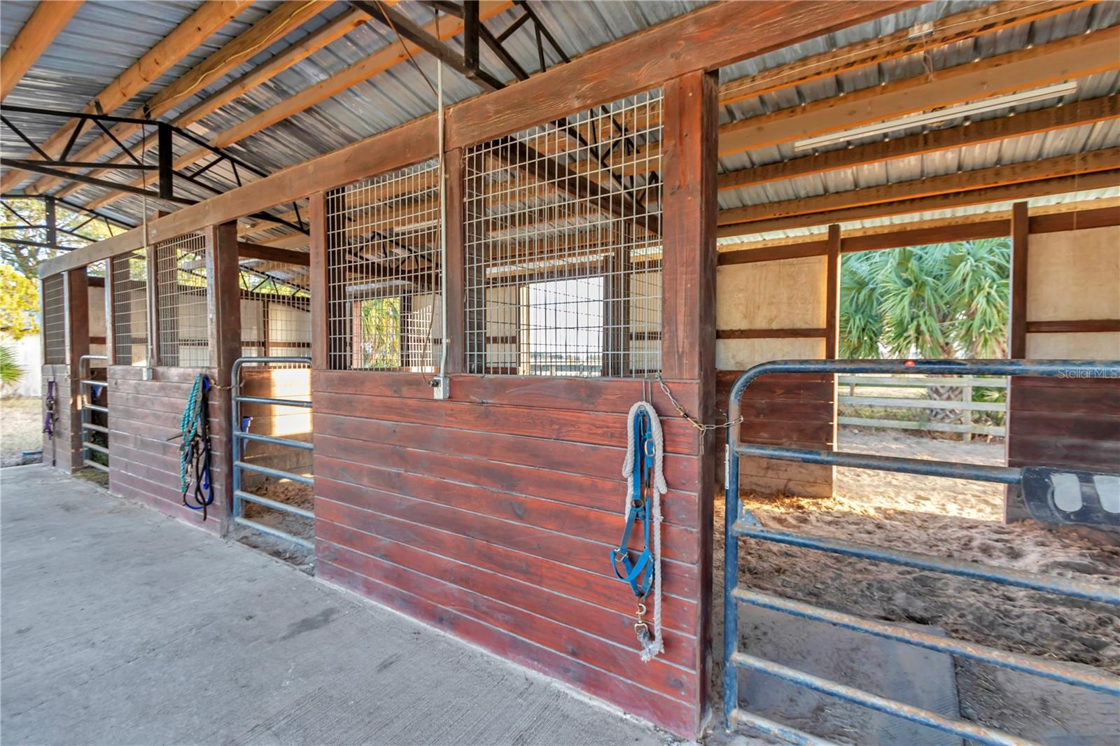 15554 SE 30TH ST, MORRISTON, FL, 32668