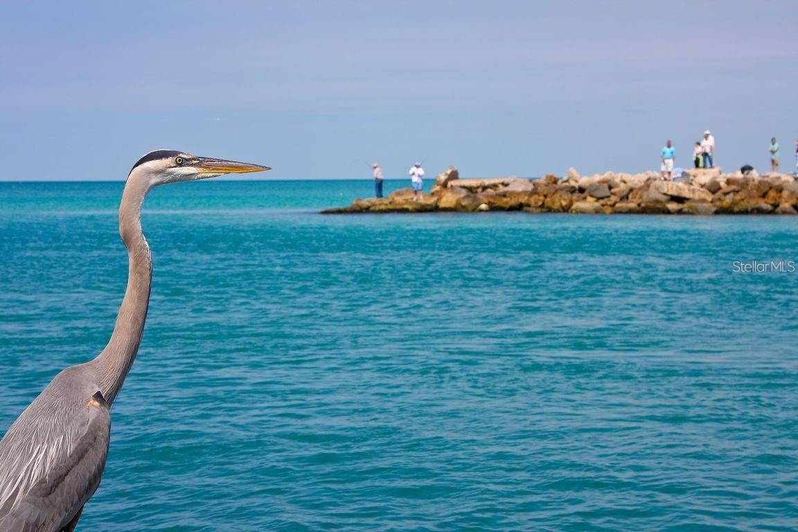 100 THE ESPLANADE N #6, VENICE, FL, 34285