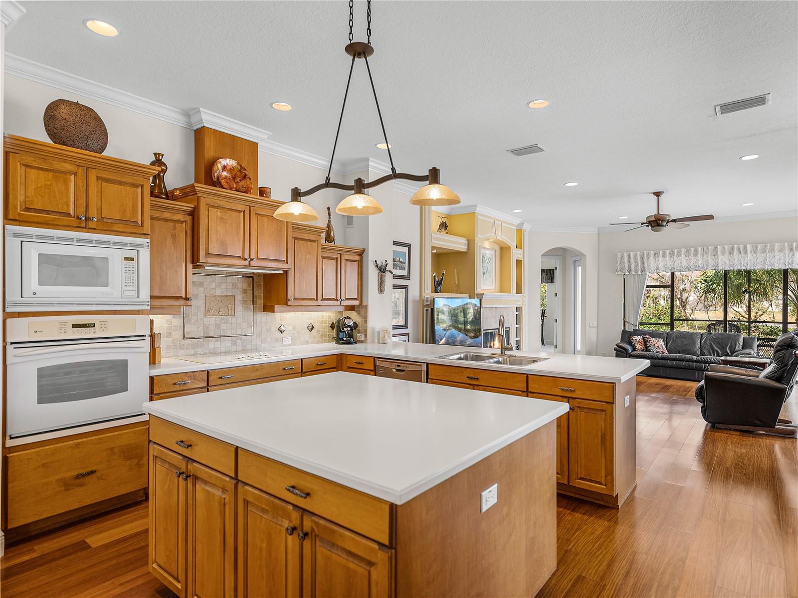13315 CARNOUSTIE CIR, DADE CITY, FL, 33525