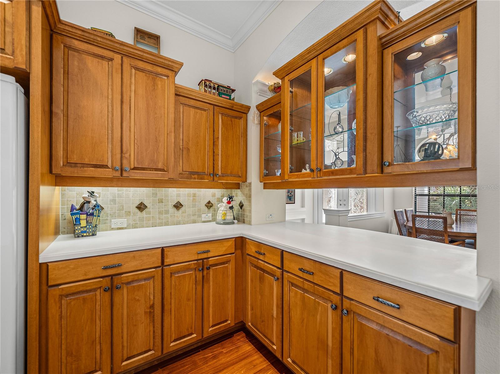 13315 CARNOUSTIE CIR, DADE CITY, FL, 33525