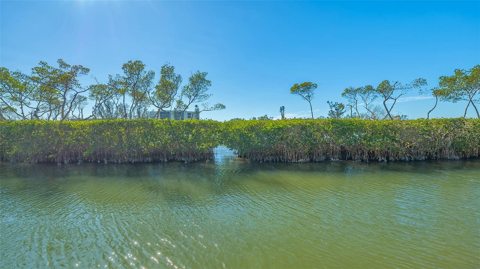 3371 BAYOU SOUND, LONGBOAT KEY, FL, 34228