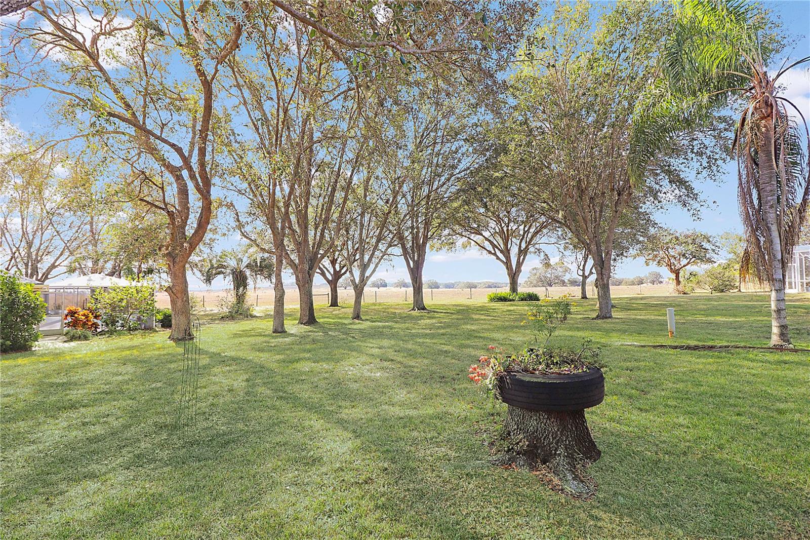 21208 ROYAL ST GEORGES LN, LEESBURG, FL, 34748