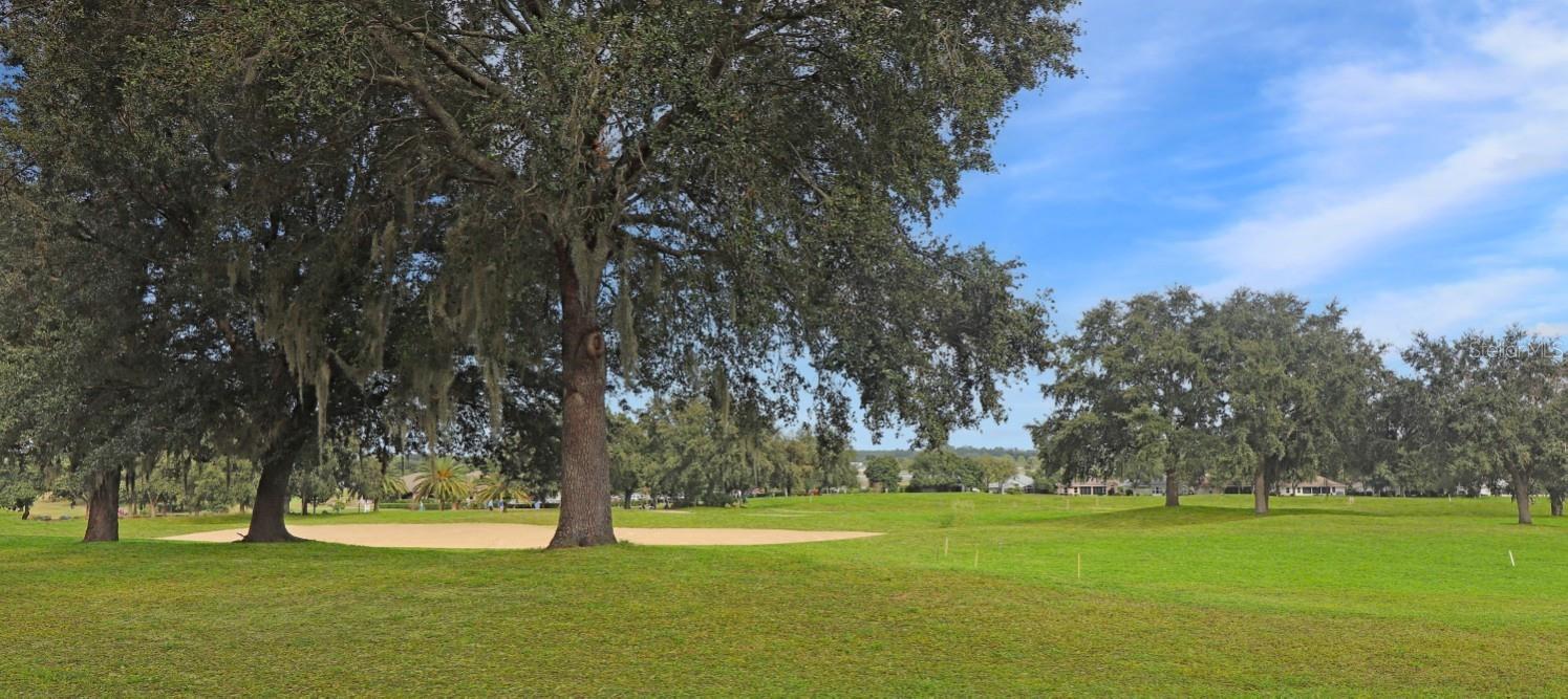 21208 ROYAL ST GEORGES LN, LEESBURG, FL, 34748