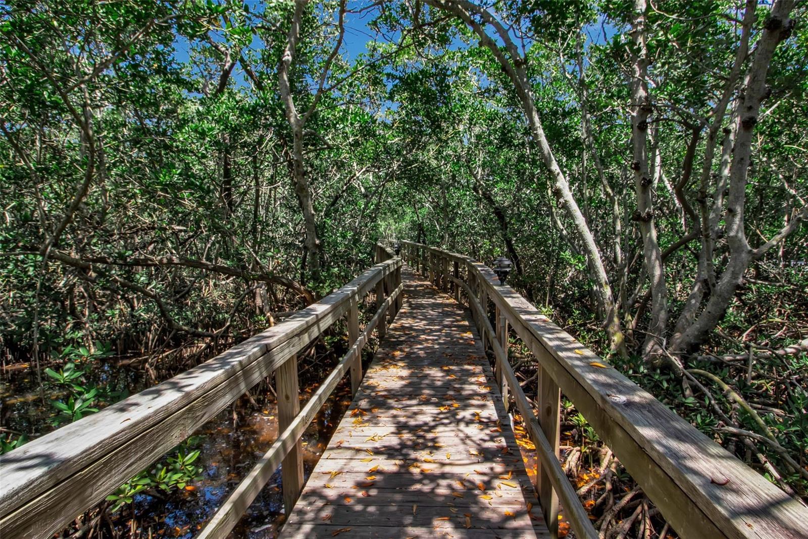 821 EVERGREEN WAY, LONGBOAT KEY, FL, 34228