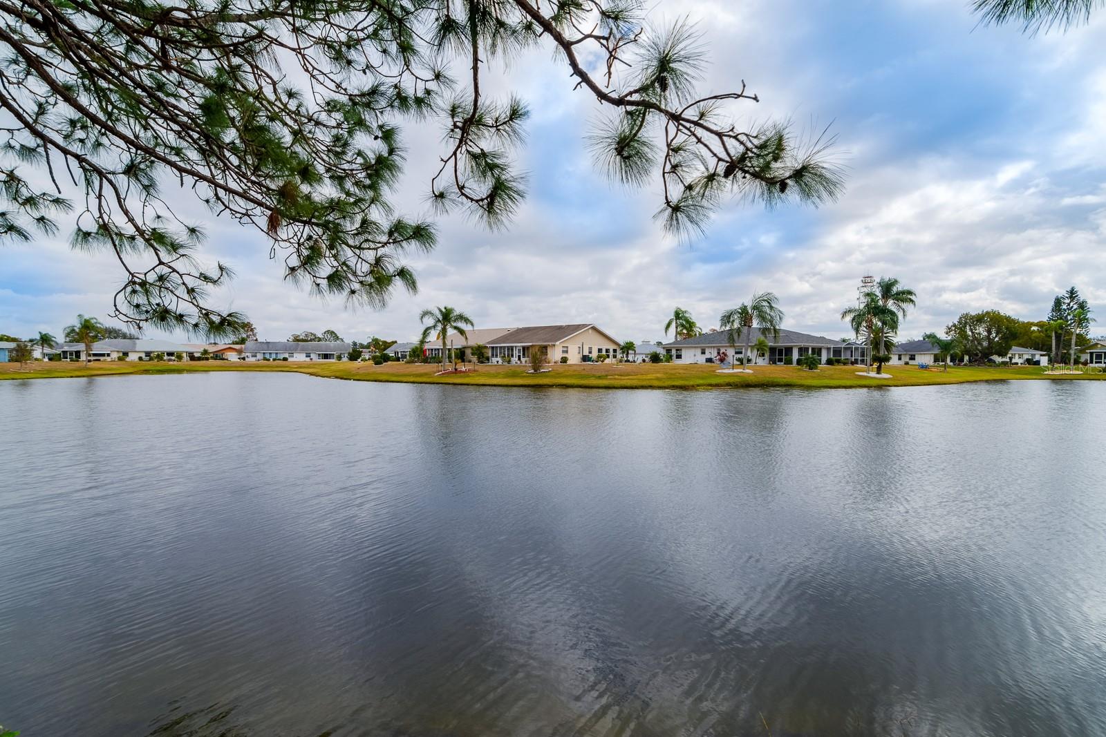 1015 EL RANCHO DR, SUN CITY CENTER, FL, 33573