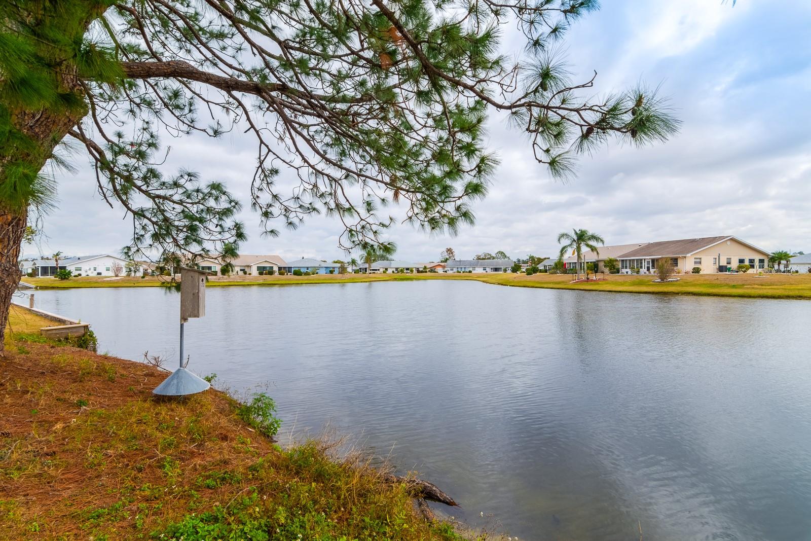 1015 EL RANCHO DR, SUN CITY CENTER, FL, 33573