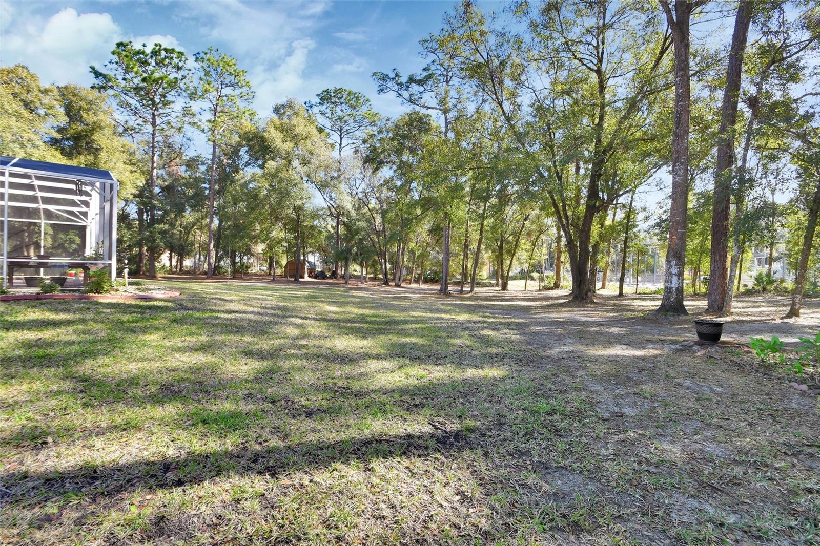 1575 COVERED BRIDGE DR, DELAND, FL, 32724