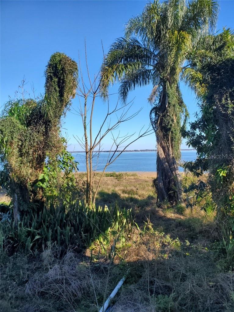 7355 SUNNYSIDE DR, LEESBURG, FL, 34748