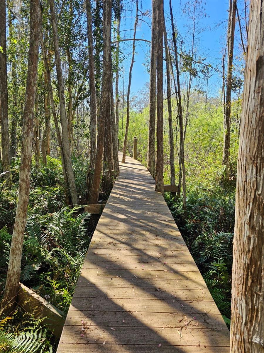 21732 BELL LAKE RD, LAND O LAKES, FL, 34639