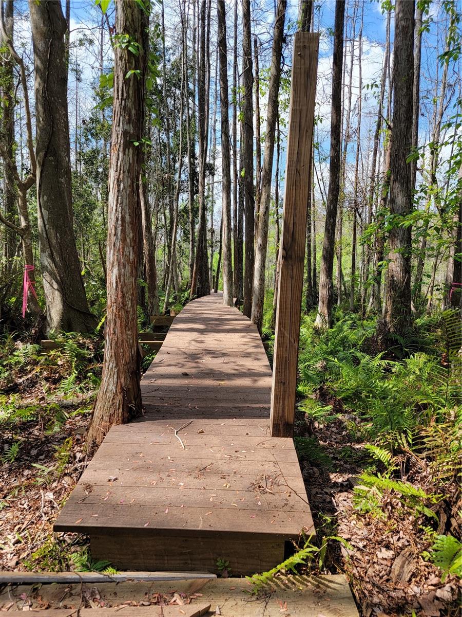 21732 BELL LAKE RD, LAND O LAKES, FL, 34639