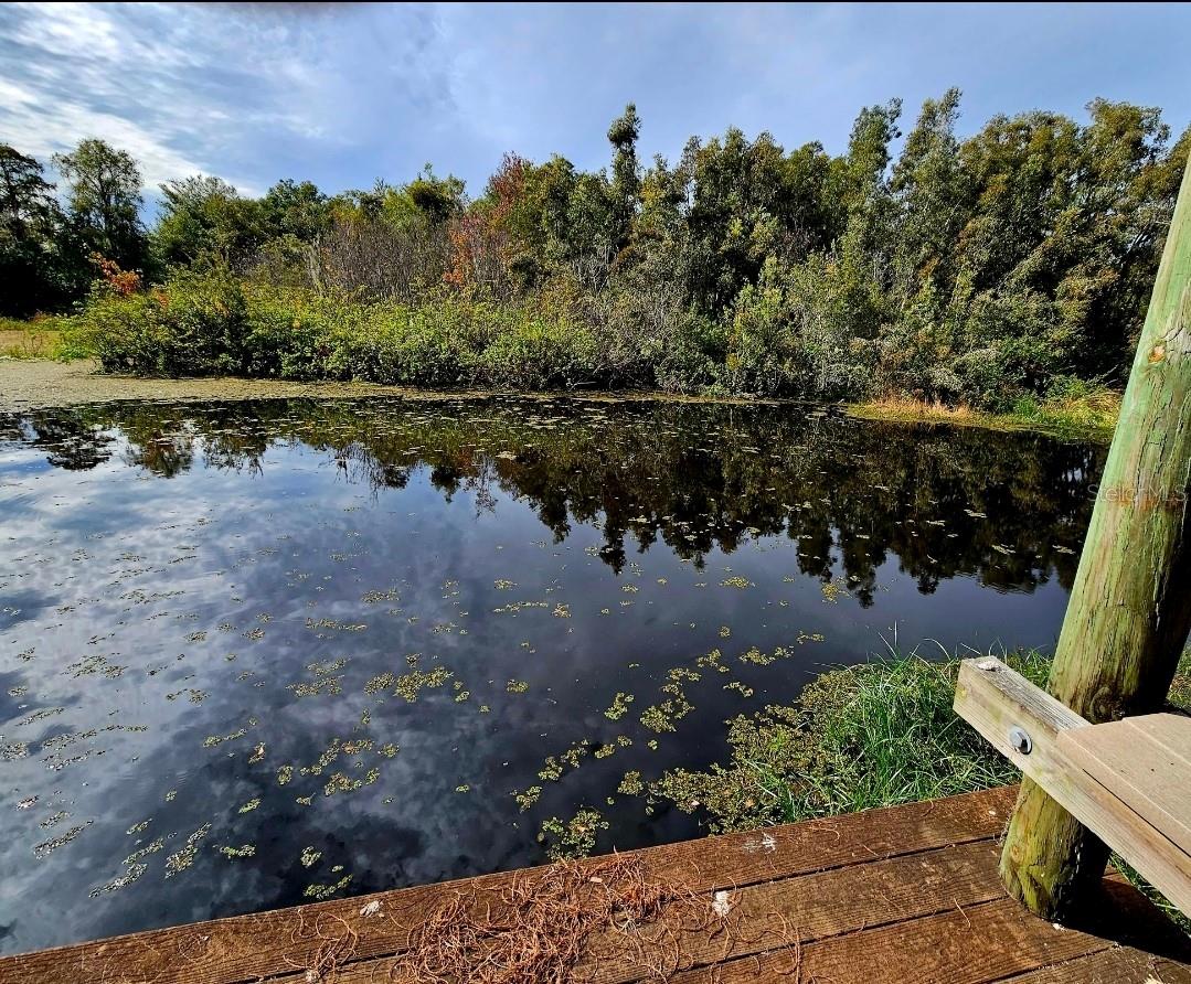 21732 BELL LAKE RD, LAND O LAKES, FL, 34639