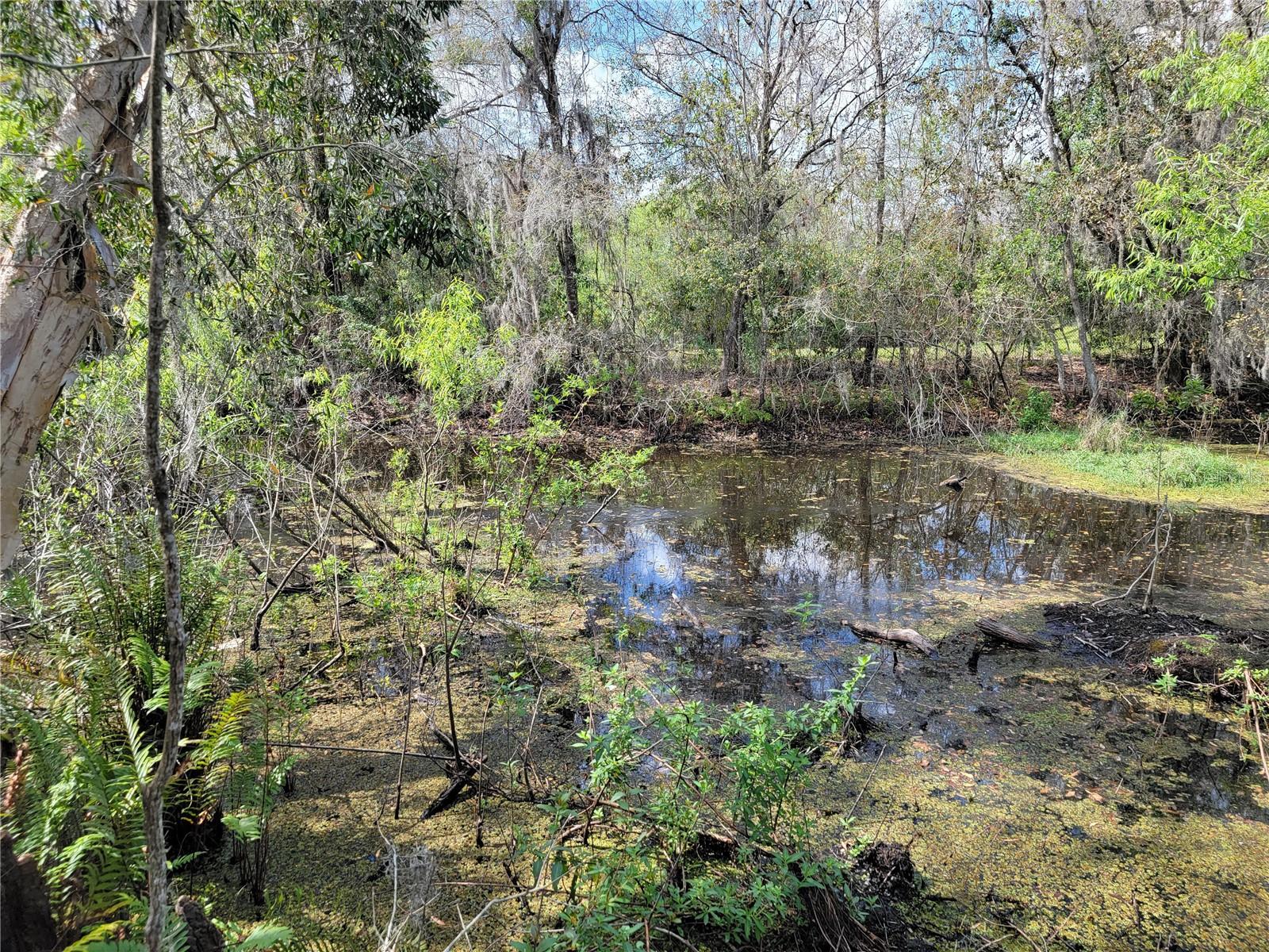 21732 BELL LAKE RD, LAND O LAKES, FL, 34639