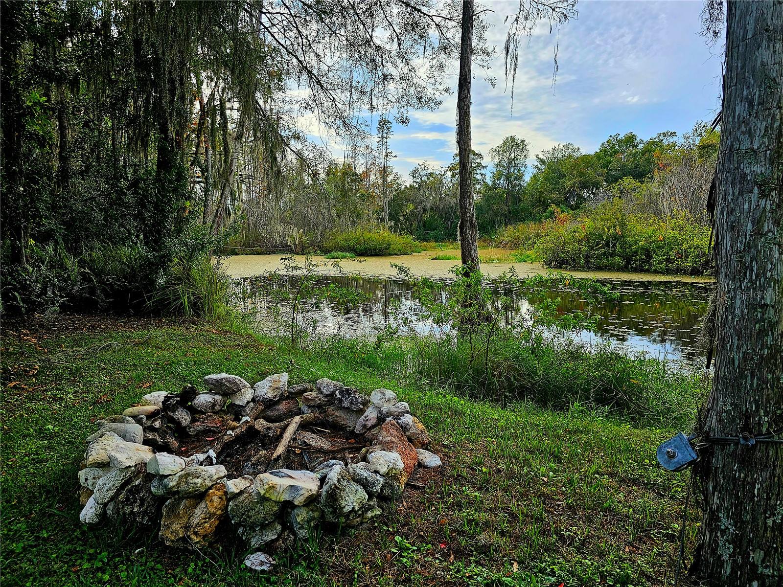 21732 BELL LAKE RD, LAND O LAKES, FL, 34639