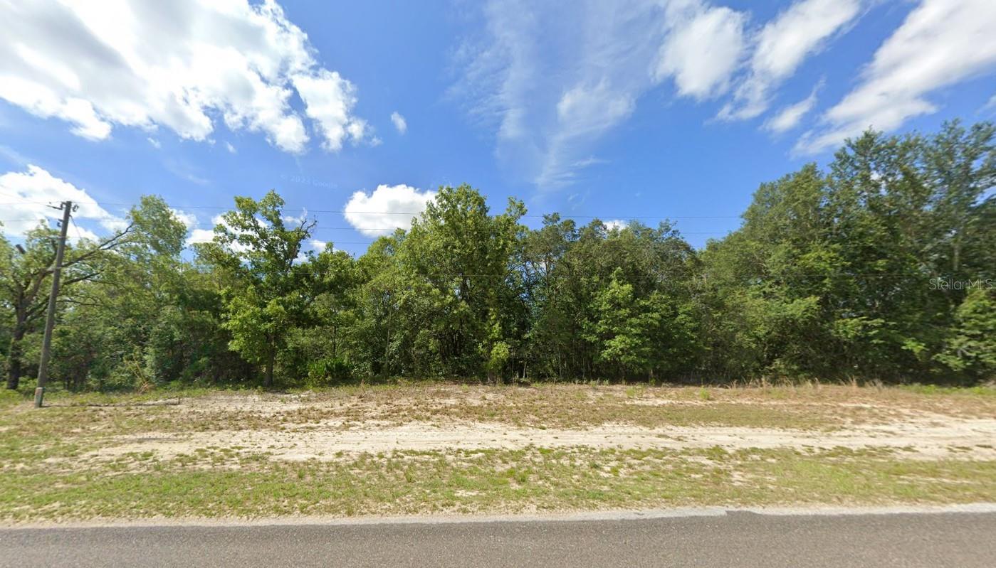 15363 SE 113TH STREET RD, OCKLAWAHA, FL, 32179