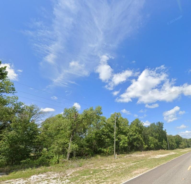 15363 SE 113TH STREET RD, OCKLAWAHA, FL, 32179