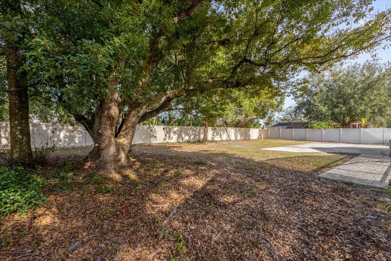 1238 CHEETAH TRL, WINTER SPRINGS, FL, 32708