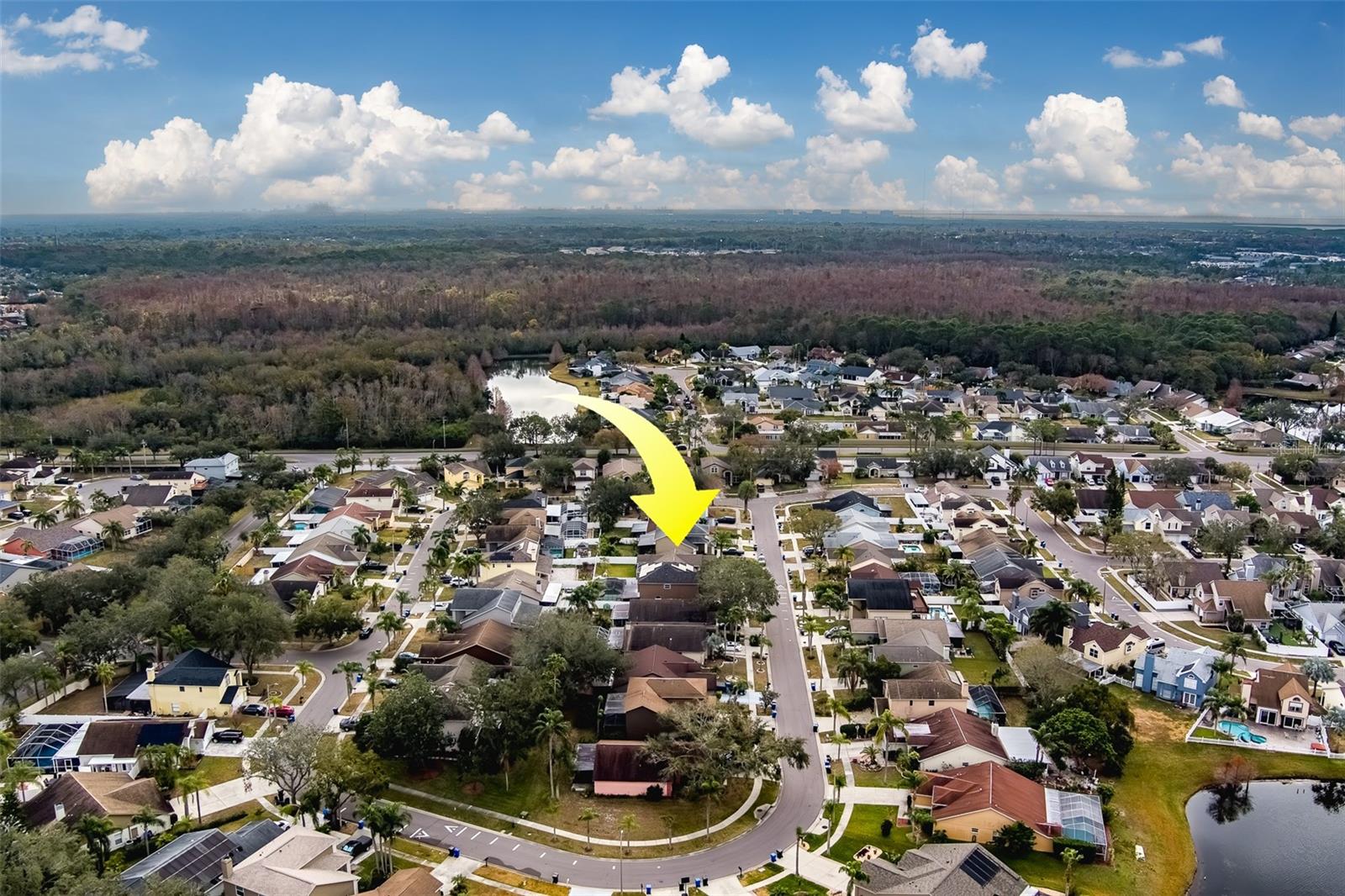 11607 BRANCH MOORING DR, TAMPA, FL, 33635