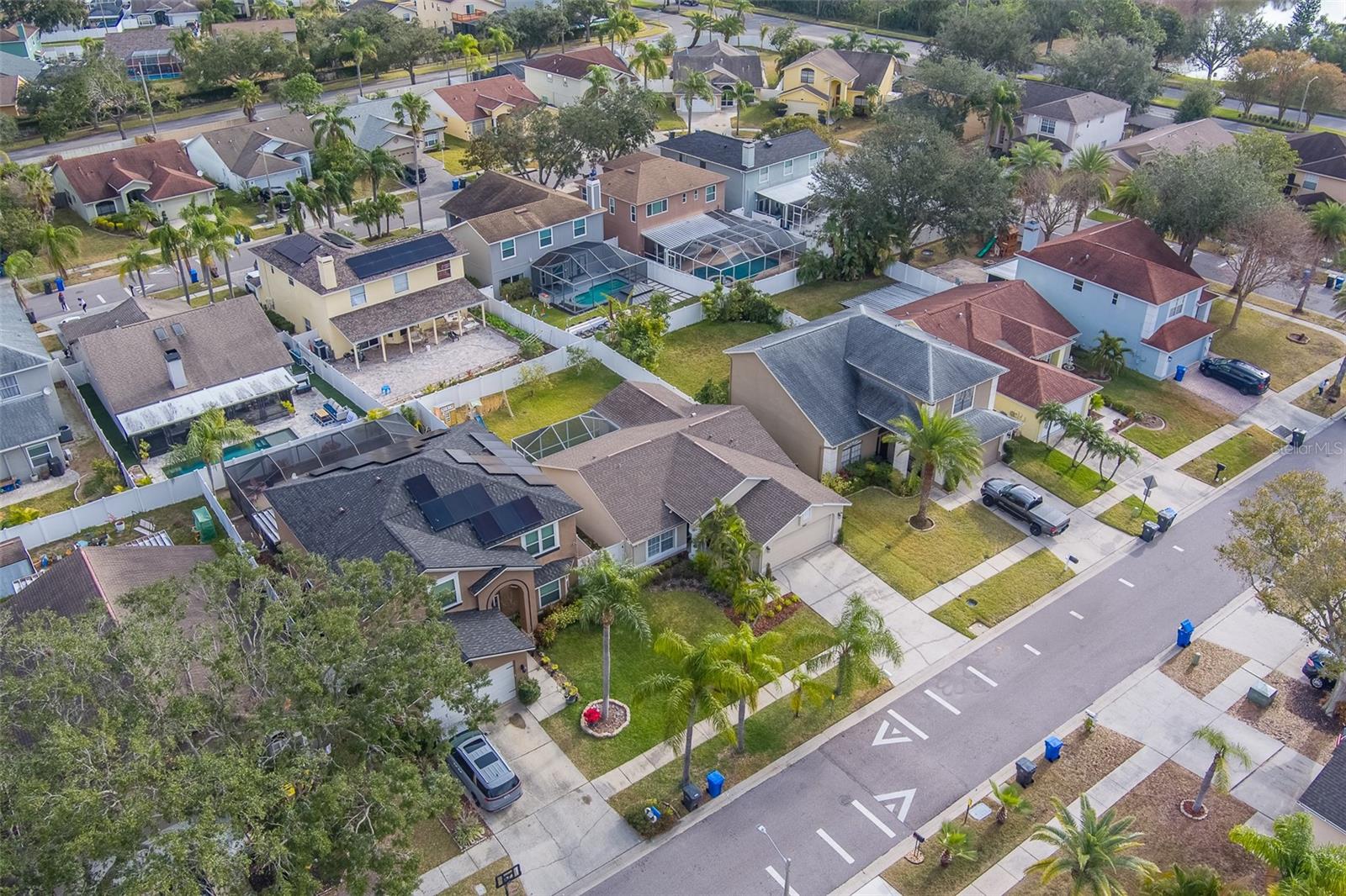 11607 BRANCH MOORING DR, TAMPA, FL, 33635
